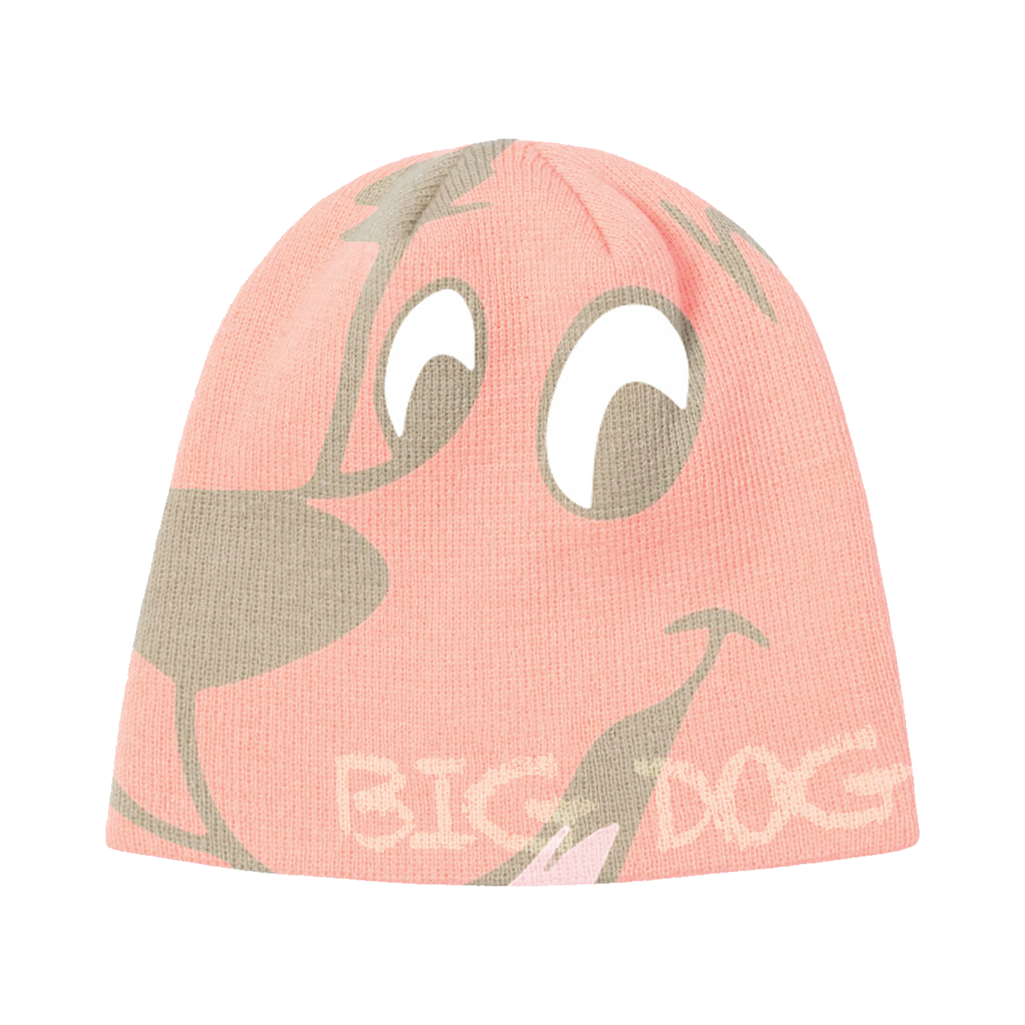 BIG DOG skully