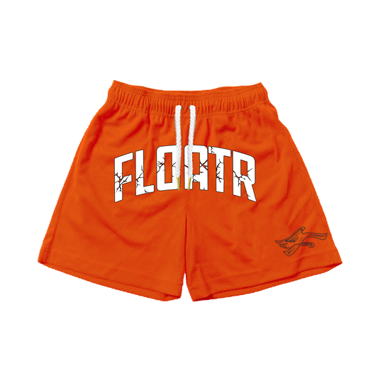 P.E Shorts